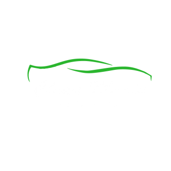 cleanmania-01